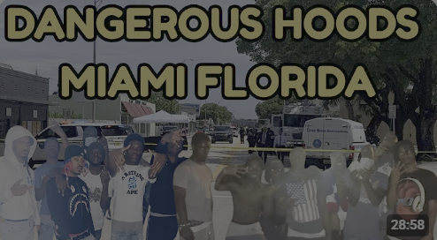fl dangerous hoos miami